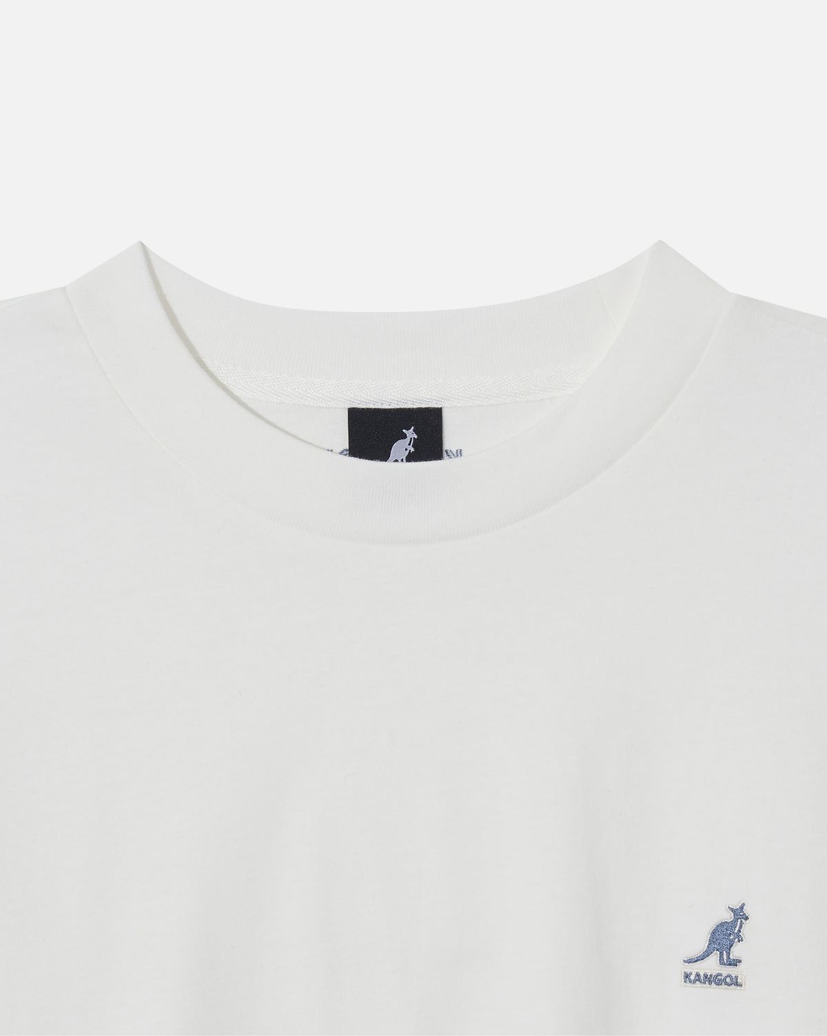 color-off-white