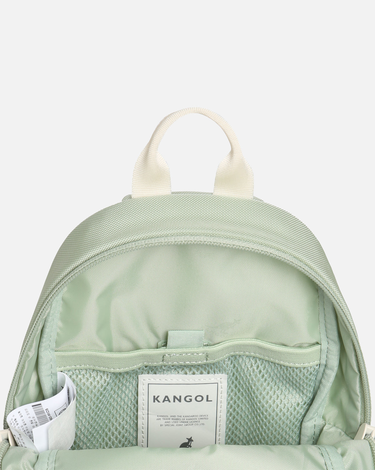 color-mint