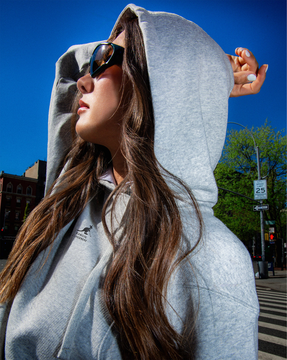 Sandie Hoodie in Light Grey Melange